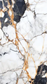 Marble veins in warm gold, white, and inky charcoal tones.