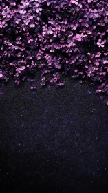 Violet clover canopy cascading over dark textured void.