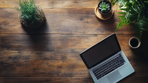Laptop workspace rests on rustic wooden desk with plants