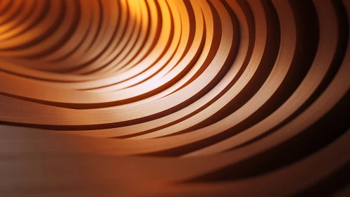 Curved metallic ribbons form a warm concentric tunnel space