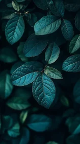 Teal foliage macro study with deep bokeh background lighting.
