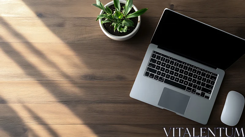 Minimalist workspace with laptop, mouse and potted plant.