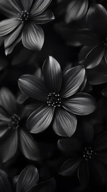 Monochromatic Cosmos: Delicate Floral Petals Converge.