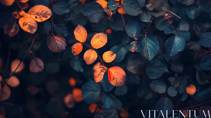 Autumn sparks whisper through midnight leaves in quiet glow