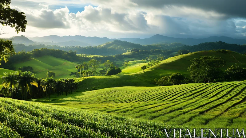 Sunlit green hills and cultivated fields under heavy clouds.