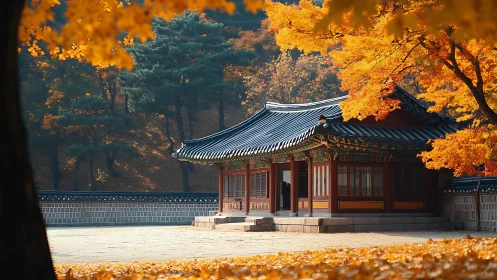 Golden autumn trees gently frame a peaceful Korean pavilion