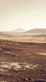 Desert landscape shows rocky foreground with soft distant dunes