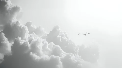 Soft white clouds and flying birds in bright sky scene