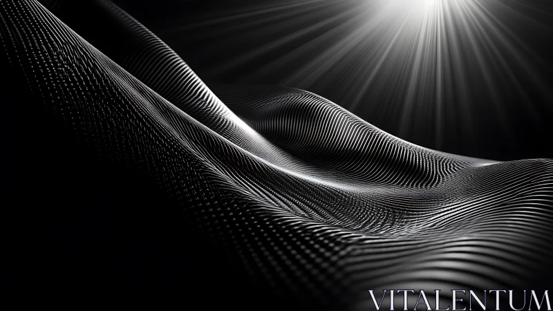 Monochrome undulating surface with linear light patterns.