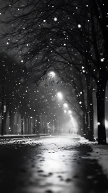 Snowfall along empty city street under night streetlights.