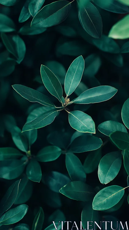 Photorealistic overhead study of deep green foliage pattern.