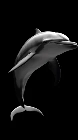 Sleek monochrome dolphin rendered in dramatic studio light.