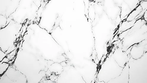 Quiet marble surface invites calm with gentle dark veining