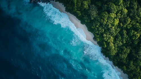 Coastal Paradise Where Ocean Meets Ancient Forest.
