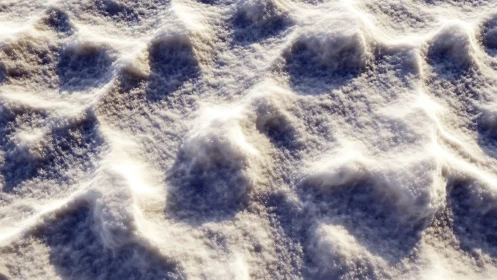 Macro close-up of textured snow surface under low sunlight