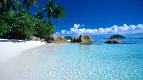 Tropical Seascape with Granitic Boulders: Turquoise Lagoon Framed by Palm Vegetation