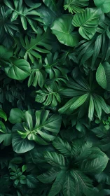 Lush tropical foliage pattern in deep emerald tones.