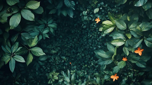Dense tropical foliage encircles scattered orange flowers
