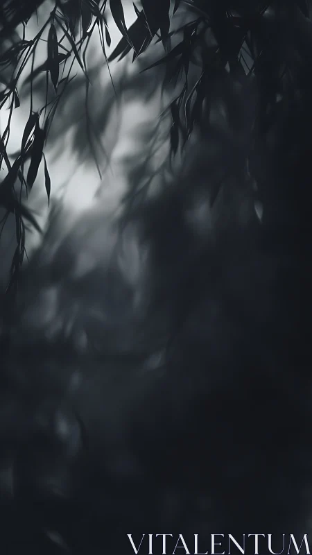 Dark out of focus foliage with soft blurred bokeh tones.