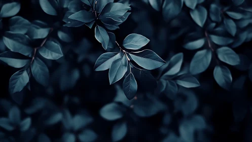 Deep green foliage close-up with moody lighting, artistic nature style.