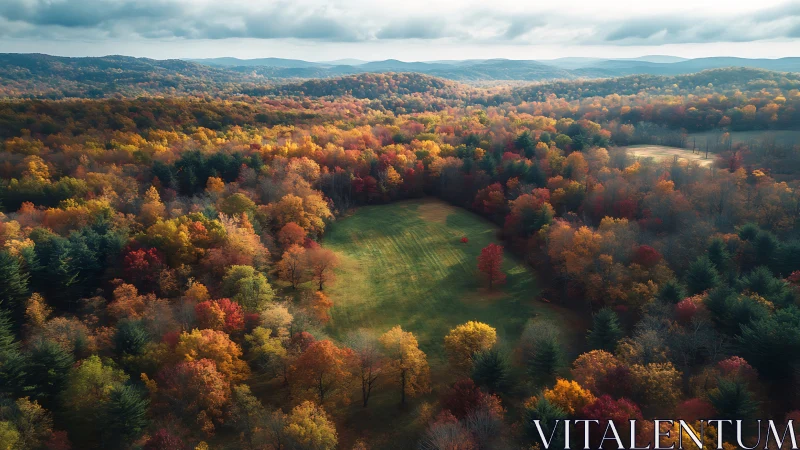 Autumnal Landscape Aerial Survey: Deciduous Forest in Seasonal Transition.