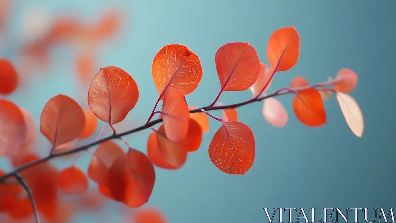 Delicate Red Autumn Leaves on Branch, Minimalist Nature Photo.