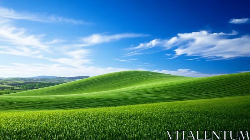 Rolling grassland hill under deep blue sky with cirrus clouds