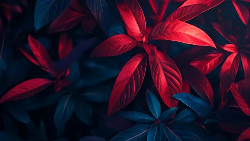 Neon red foliage contrasts with deep blue leaves in darkness