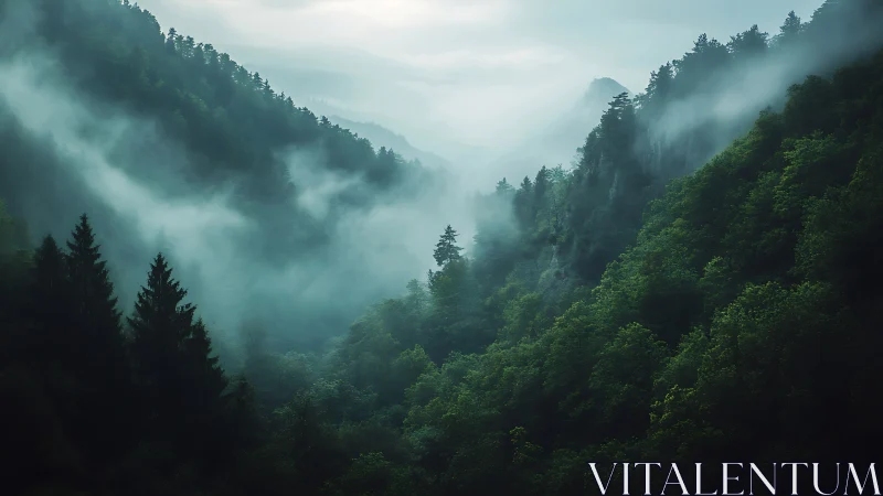 Misty Mountain Valley Cloaked in Emerald Forest