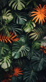 Lush tropical foliage study with saturated botanical contrast.