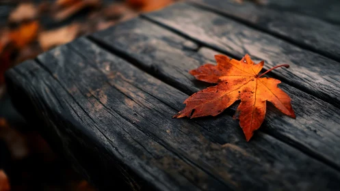 Single autumn maple leaf on weathered wooden table surface.