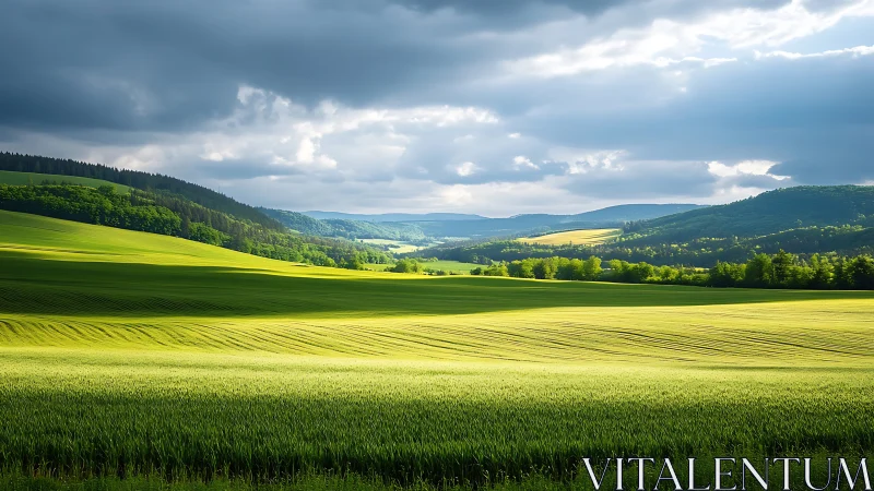 Sweeping sunlit fields under brooding layered storm clouds.