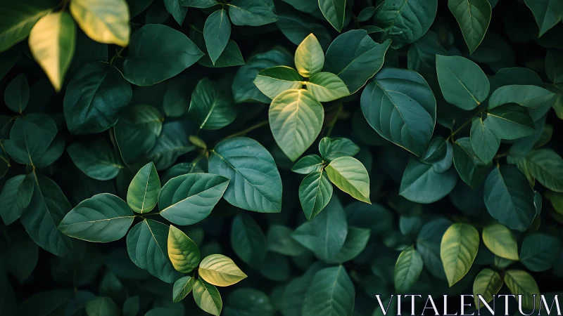 Photorealistic overhead study of layered emerald foliage.