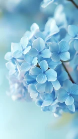 Delicate Blue Flower Cluster in Soft Focus Light