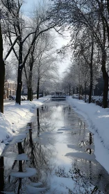 Snow covered canal with bare winter trees and reflections.