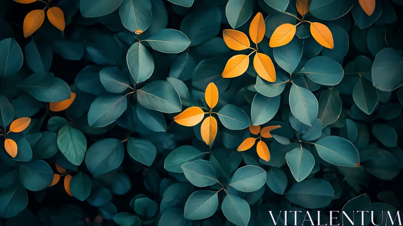 Orange leaves interspersed among dense blue-green foliage.