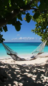 Tropical Beach Hammock: Turquoise Waters and Coastal Refuge.