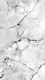 Marble storm whispers across white stone with inky veins.