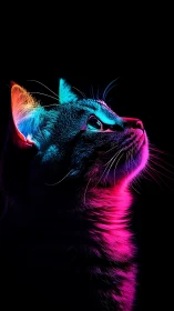 Neon-lit cat portrait in vivid cyan and magenta glow.