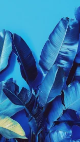Blue-toned banana leaves on flat monochrome background.