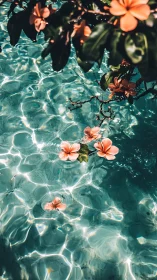 Coral Flowers Floating in Crystalline Turquoise Water.