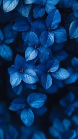 Monochrome cobalt leaves in soft-focus botanical closeup.