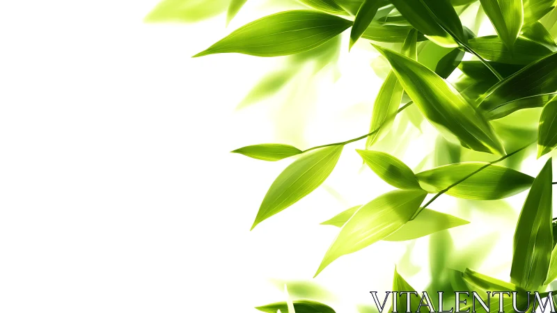 Luminous green leaves drift across bright white space.