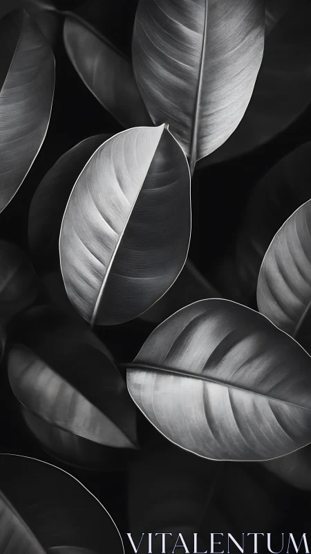 Silverleaf whispers trade shadows for moonlit geometry