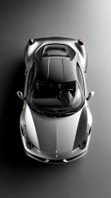 Top view shows a silver sports car with black center panels
