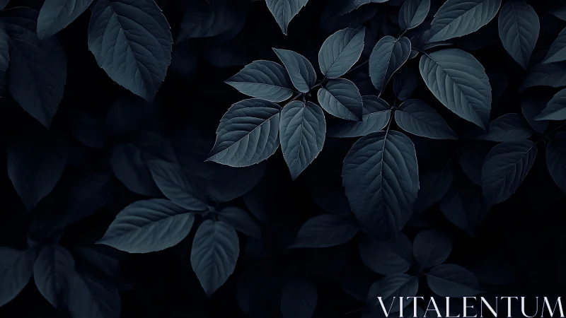 Moody dark foliage forms a serene, minimal nature backdrop