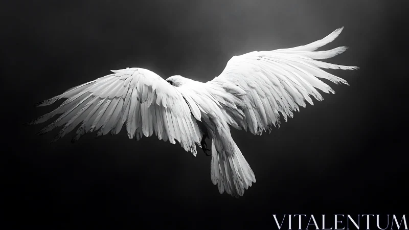 Majestic White Bird in Flight on Dark Background, Dramatic Lighting.