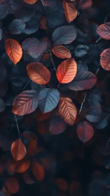 Copper twilight leaves whisper over a midnight forest hush