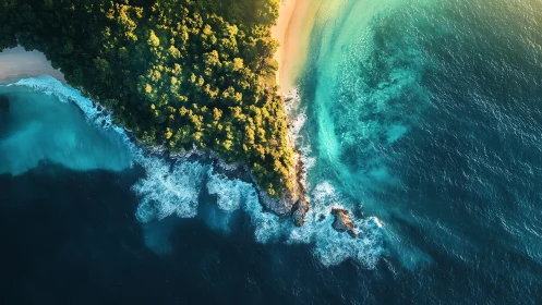 Aerial Coastal Convergence: Temperate Forest Meets Turquoise Ocean.