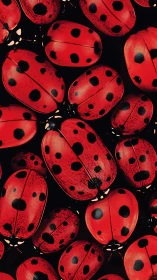 Close-up pattern of red ladybugs with bold black spots.